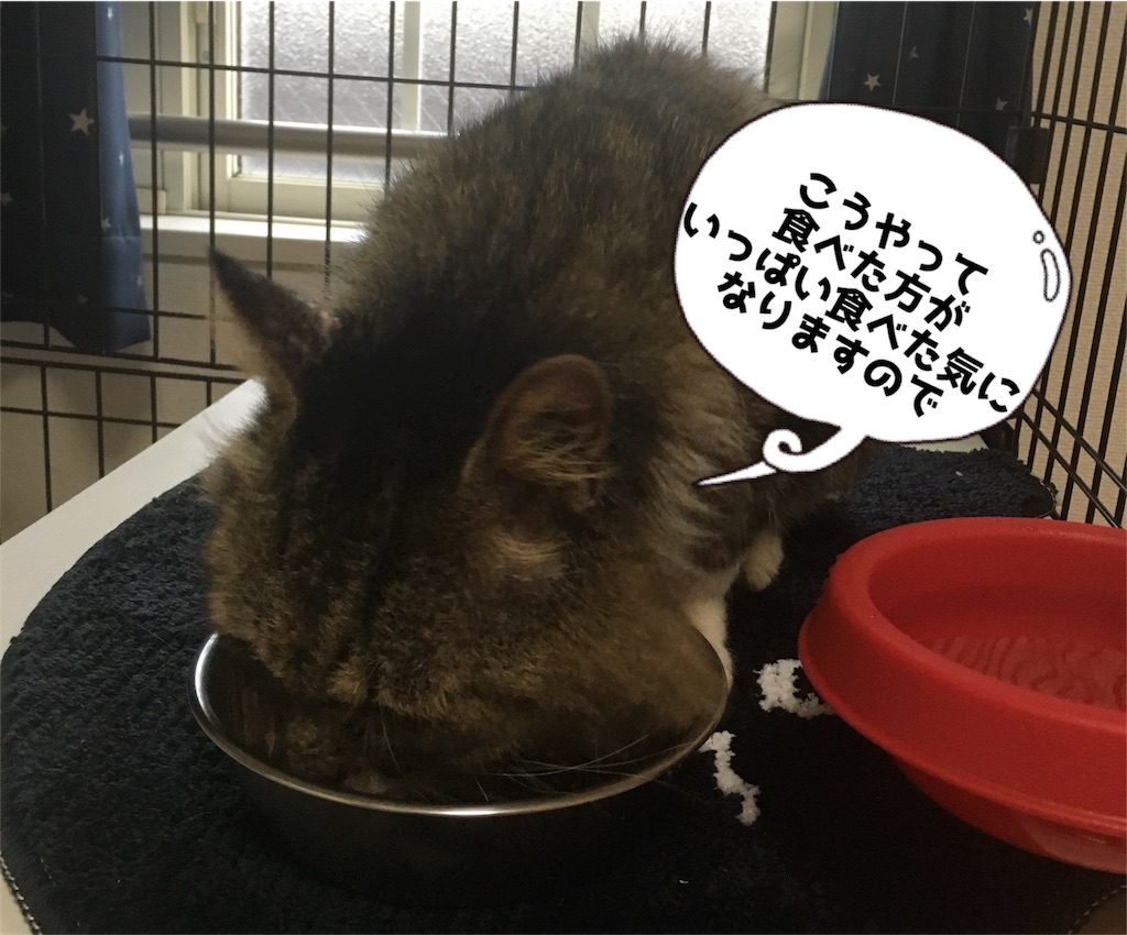 f:id:uzao1116:20160920212841j:image f:id:uzao1116:20160920212841j:image