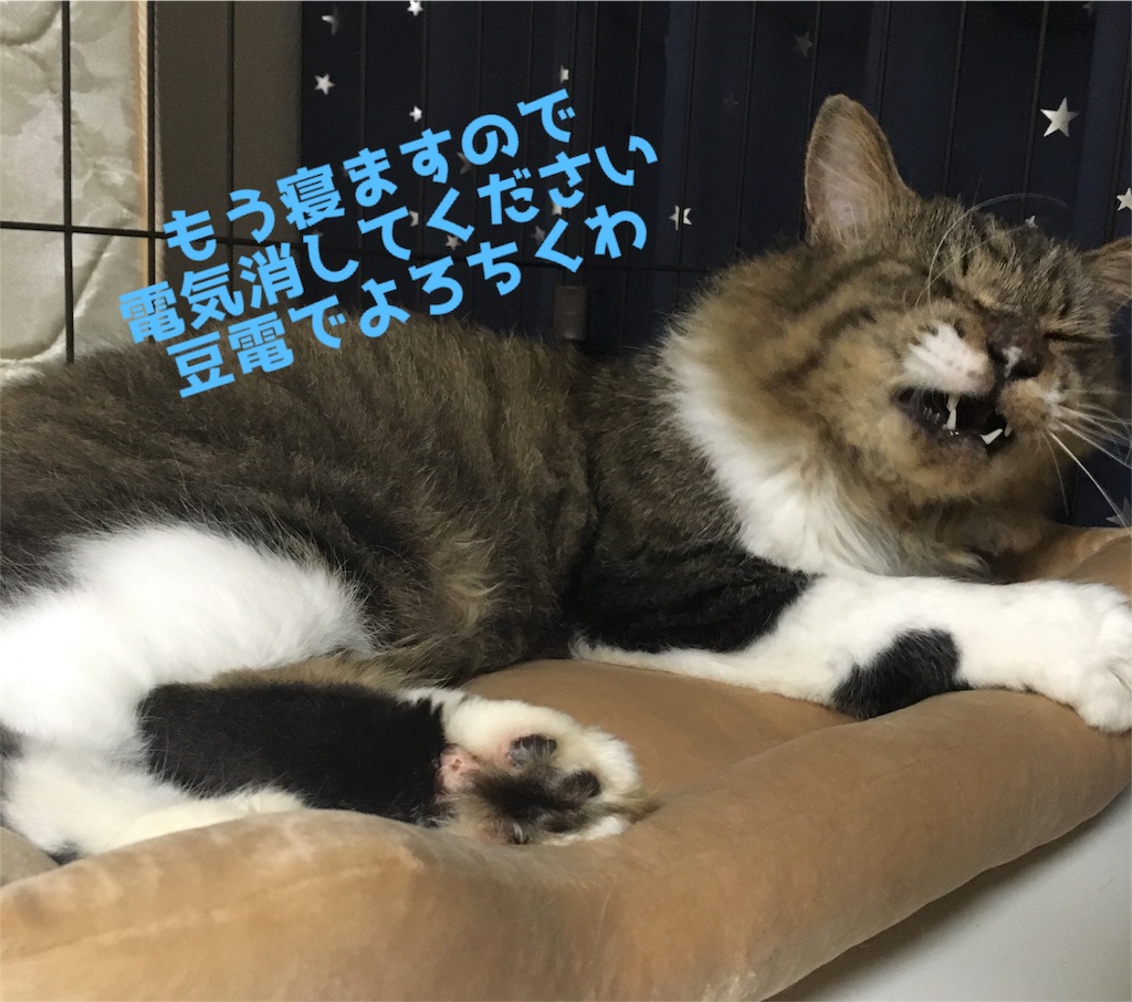 f:id:uzao1116:20160920213443j:image f:id:uzao1116:20160920213443j:image