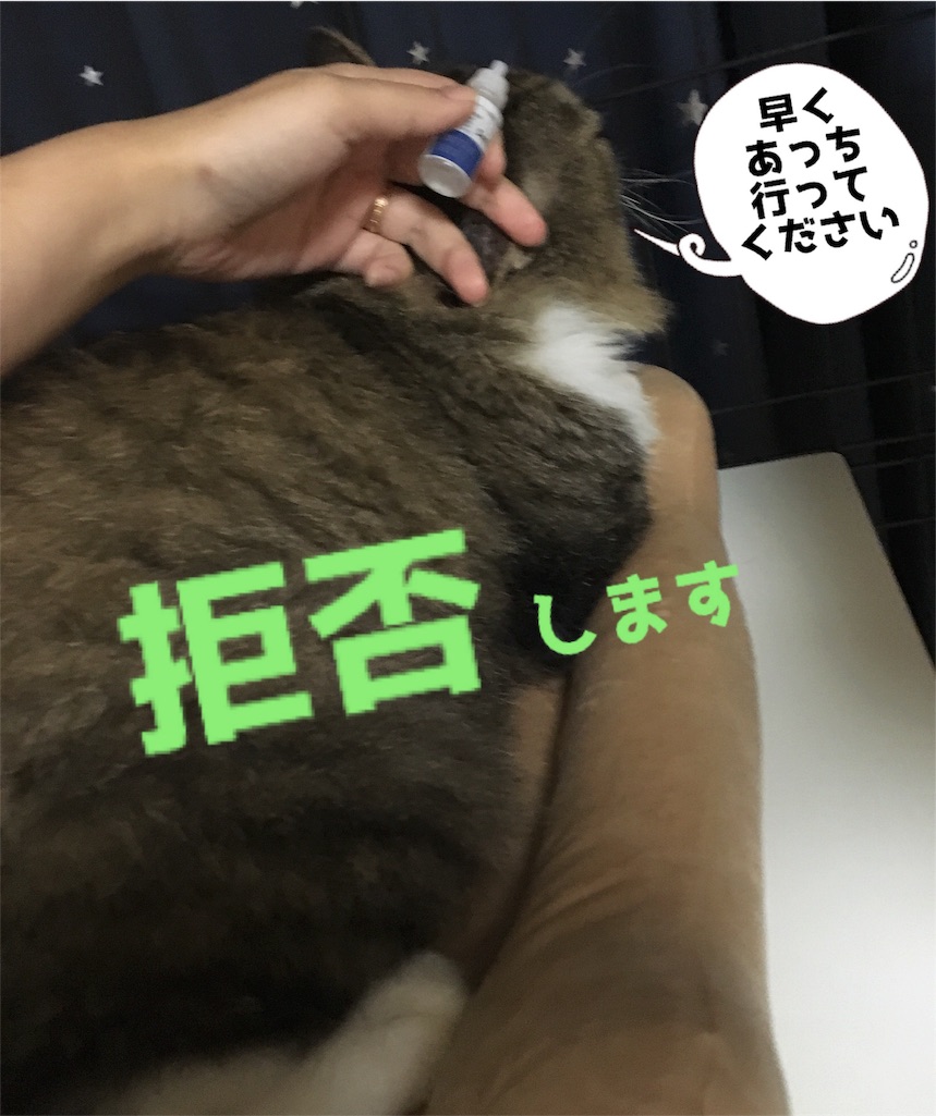 f:id:uzao1116:20160920214731j:image f:id:uzao1116:20160920214731j:image