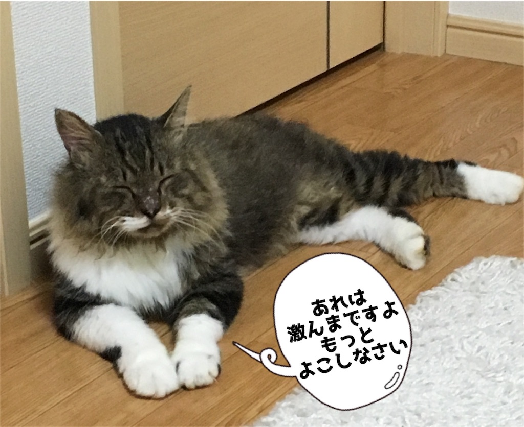f:id:uzao1116:20160925193157j:image f:id:uzao1116:20160925193157j:image