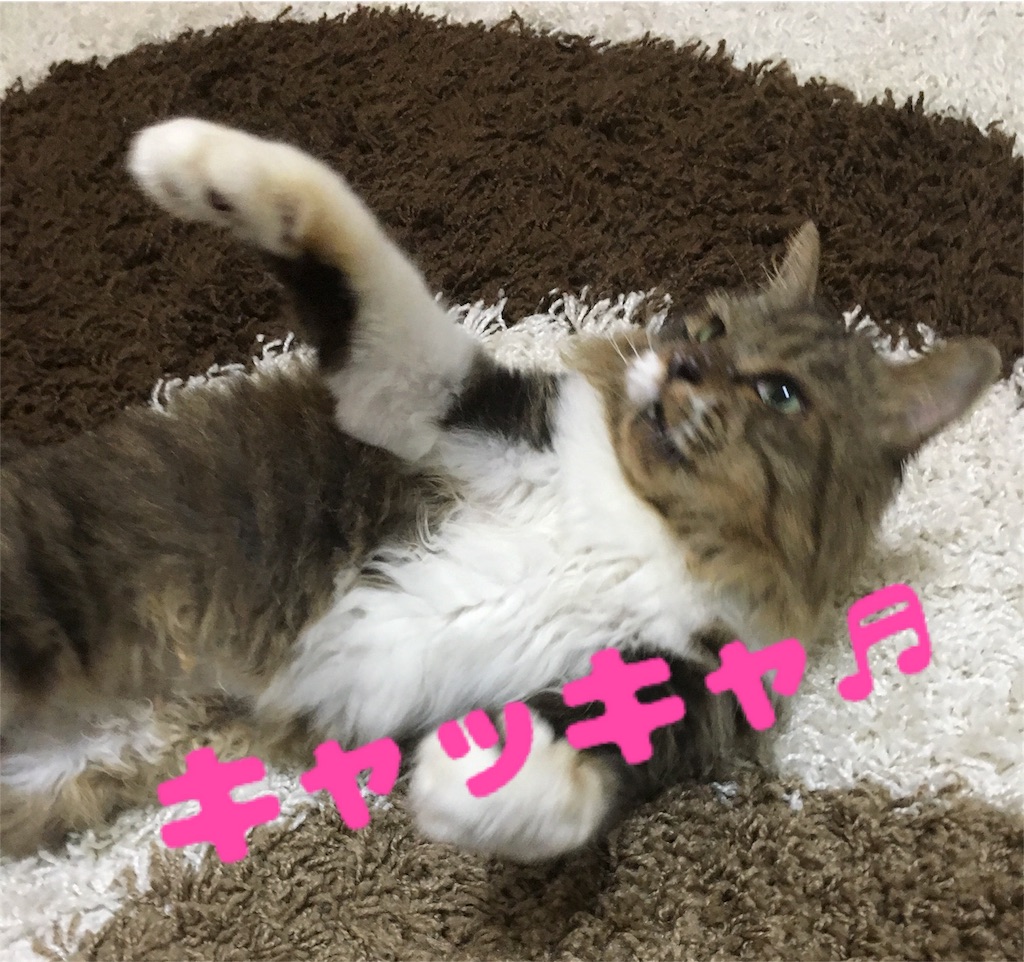 f:id:uzao1116:20160925213011j:image f:id:uzao1116:20160925213011j:image