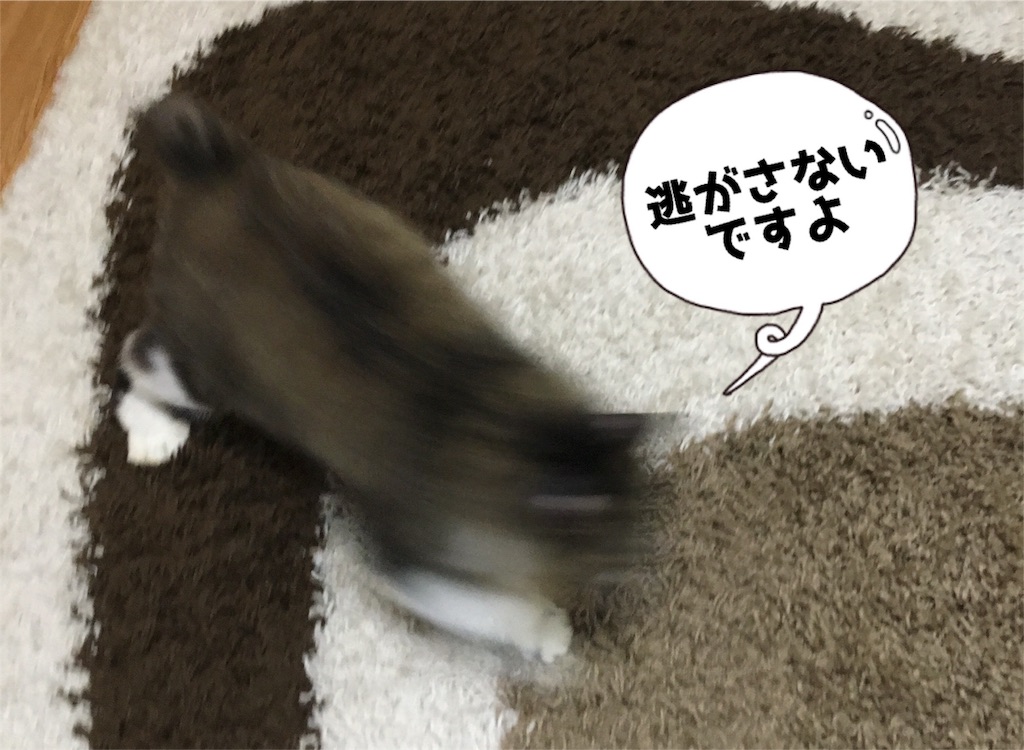 f:id:uzao1116:20160925221919j:image f:id:uzao1116:20160925221919j:image
