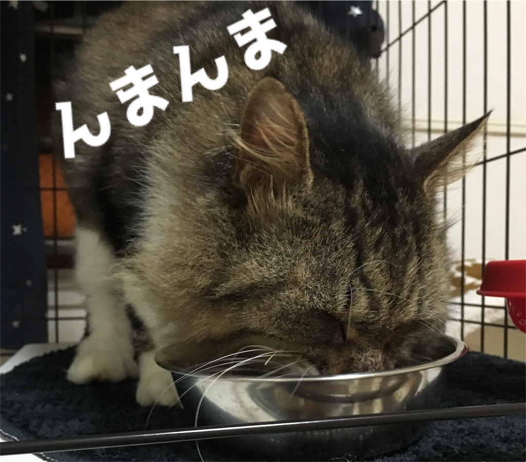 f:id:uzao1116:20161005185734j:image f:id:uzao1116:20161005185734j:image