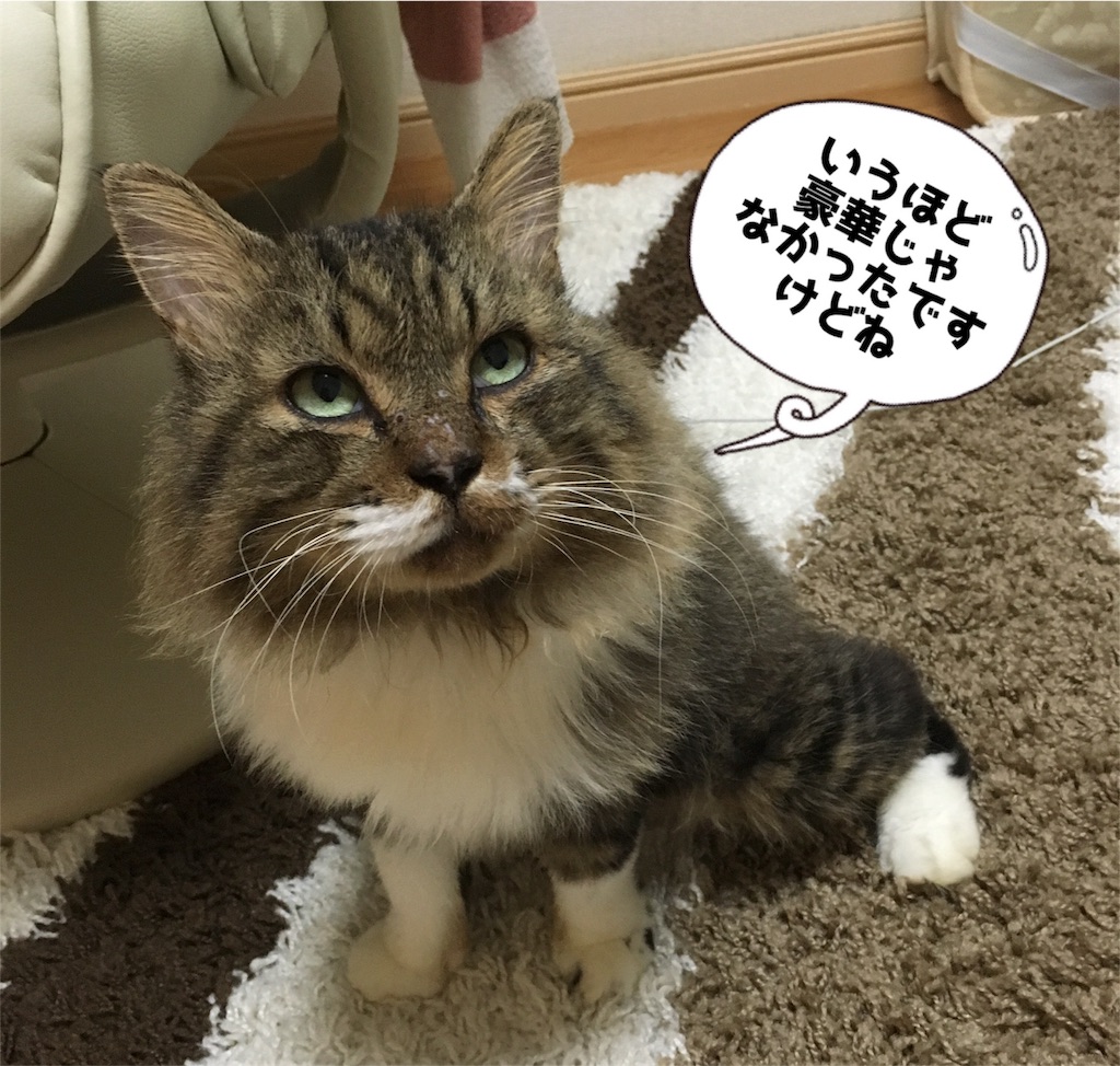 f:id:uzao1116:20161005190702j:image f:id:uzao1116:20161005190702j:image