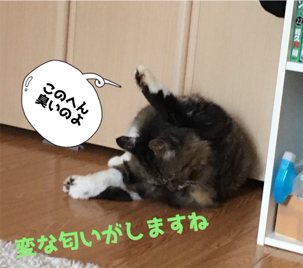 f:id:uzao1116:20161006105612j:image f:id:uzao1116:20161006105612j:image