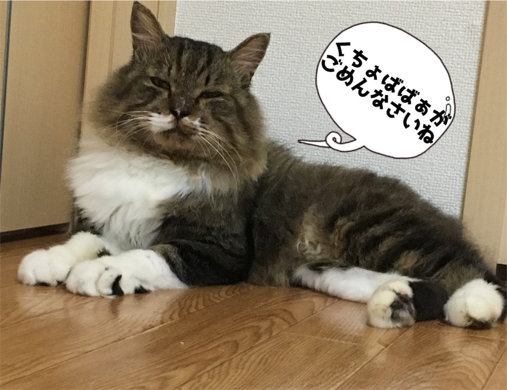f:id:uzao1116:20161006111453j:image f:id:uzao1116:20161006111453j:image