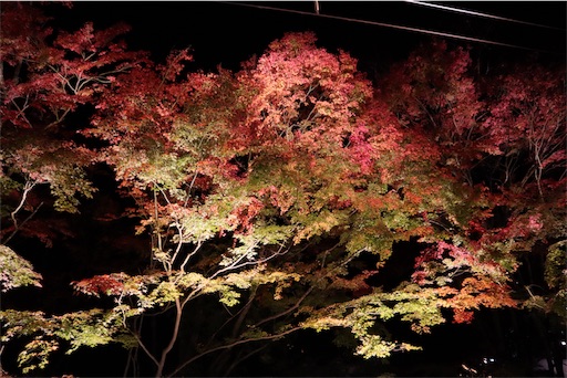 f:id:uzikihune2430:20191210111125j:image f:id:uzikihune2430:20191210111125j:image