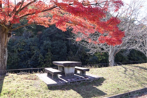 f:id:uzikihune2430:20191218190602j:image