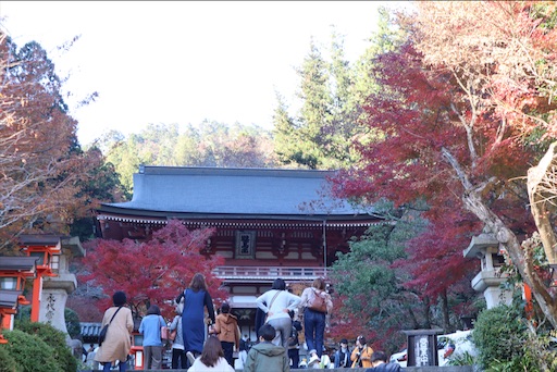 f:id:uzikihune2430:20200527212204j:image