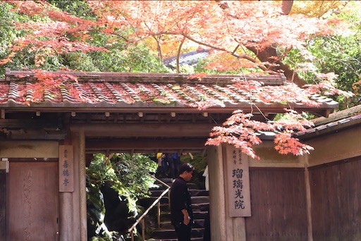 f:id:uzikihune2430:20201107030120j:image f:id:uzikihune2430:20201107030120j:image