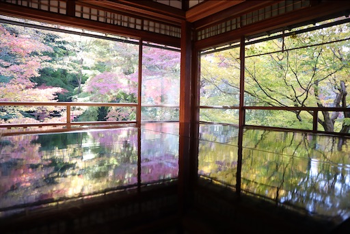f:id:uzikihune2430:20201107030124j:image f:id:uzikihune2430:20201107030124j:image