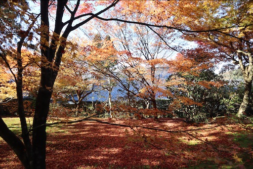 f:id:uzikihune2430:20201107030334j:image f:id:uzikihune2430:20201107030334j:image