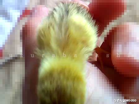f:id:uzurabanashi:20200101145044j:plain