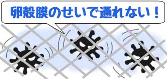 f:id:uzurabanashi:20200503222437j:plain f:id:uzurabanashi:20200503222437j:plain