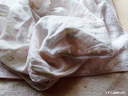 f:id:uzurabanashi:20200630153410j:plain f:id:uzurabanashi:20200630153410j:plain
