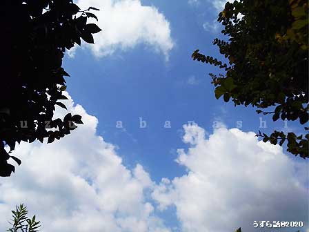 f:id:uzurabanashi:20200730162624j:plain 夏の空