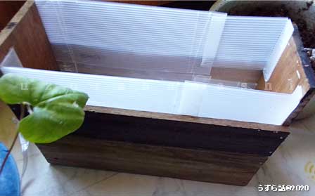 f:id:uzurabanashi:20200814170542j:plain プランターDIY