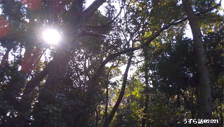 f:id:uzurabanashi:20210131153731j:plain