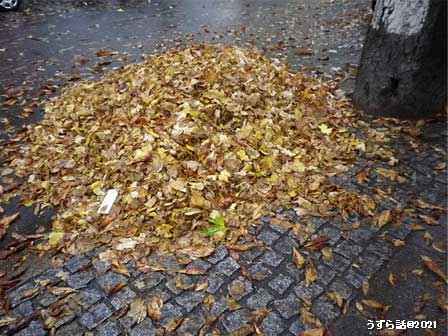 落ち葉の山