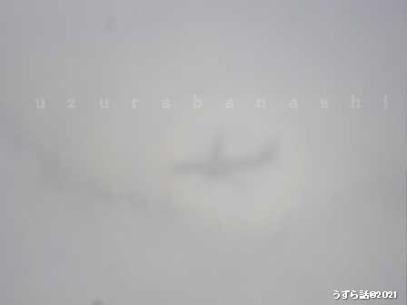 雲に映る飛行機の影