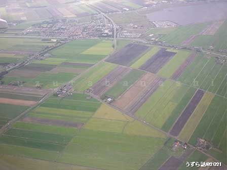 オランダの畑