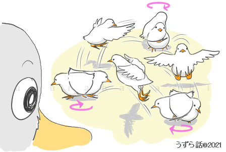 f:id:uzurabanashi:20210911184603p:plain