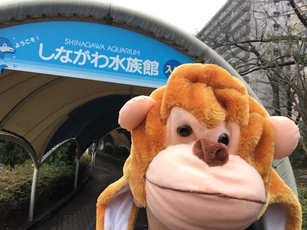 f:id:uzurar:20180202222853j:plain f:id:uzurar:20180202222853j:plain