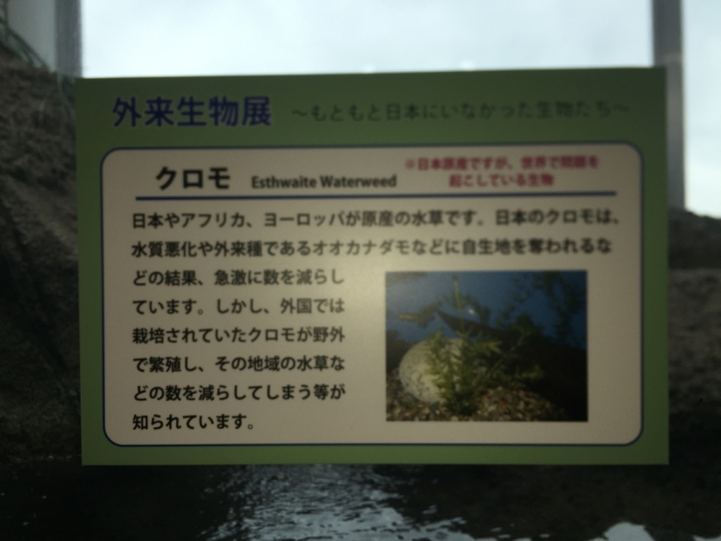 f:id:uzurar:20180202224621j:plain f:id:uzurar:20180202224621j:plain