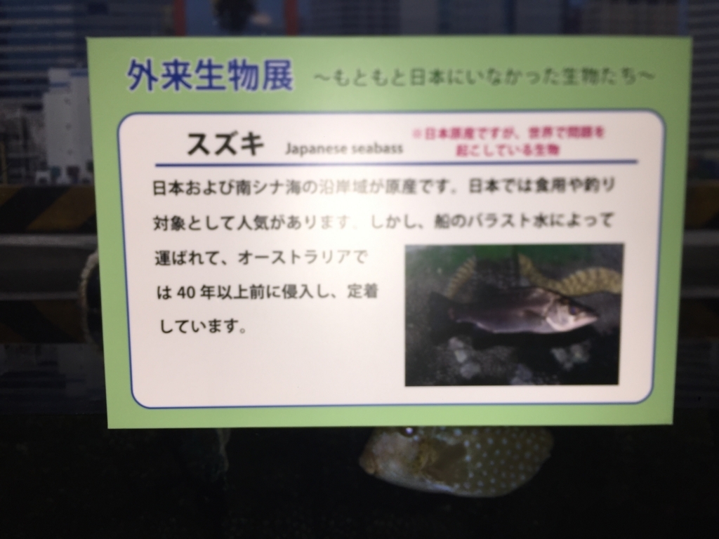 f:id:uzurar:20180202225159j:plain f:id:uzurar:20180202225159j:plain