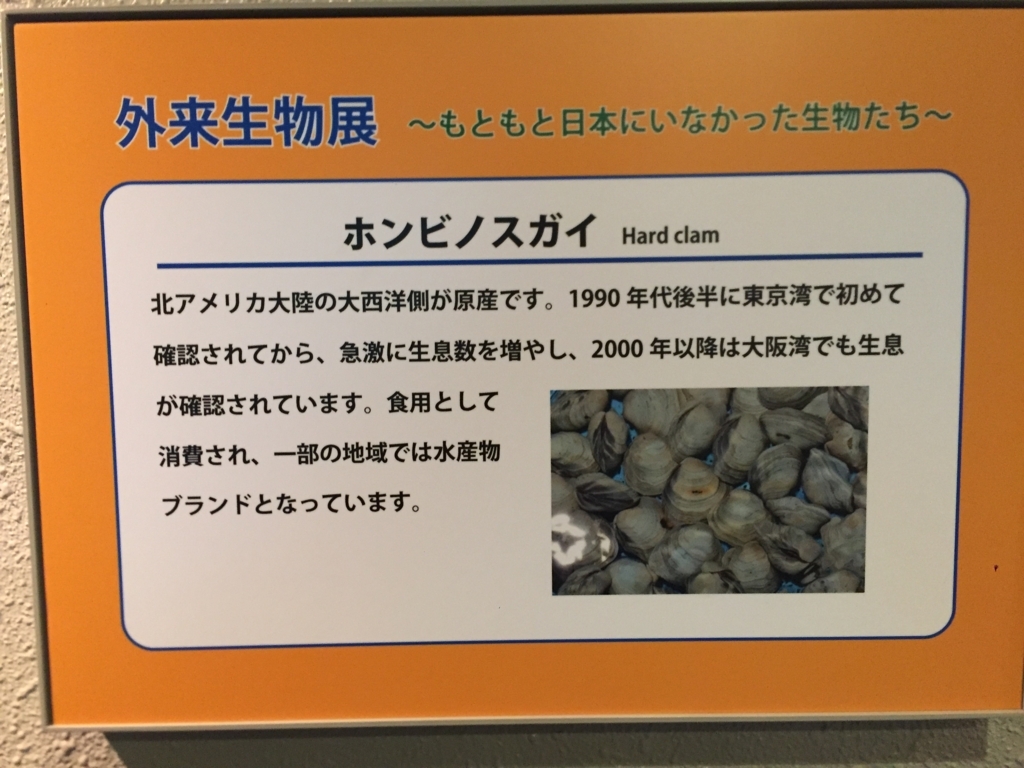 f:id:uzurar:20180202225327j:plain f:id:uzurar:20180202225327j:plain