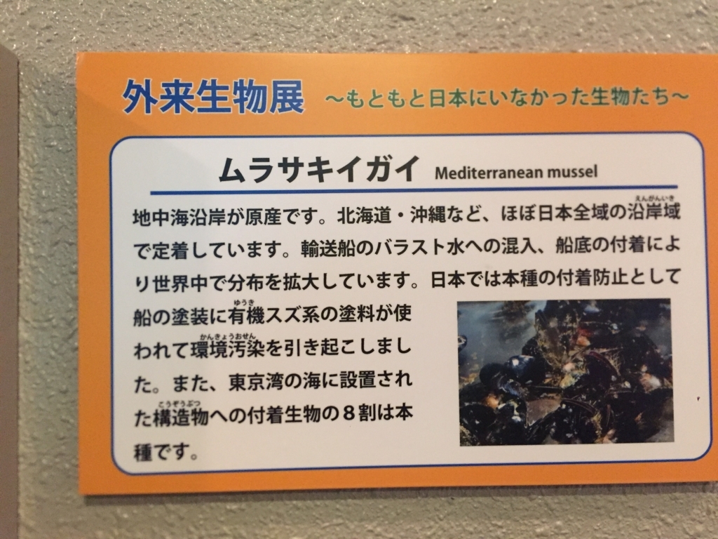 f:id:uzurar:20180202225440j:plain f:id:uzurar:20180202225440j:plain