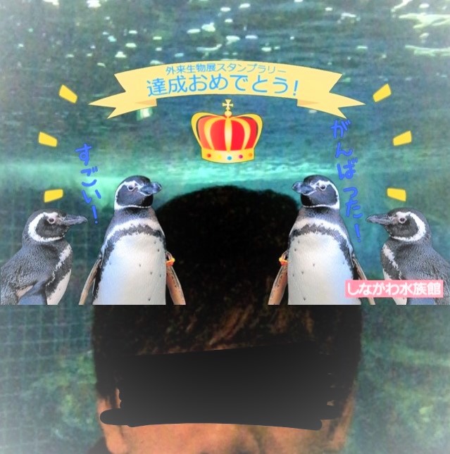 f:id:uzurar:20180202225948j:plain f:id:uzurar:20180202225948j:plain