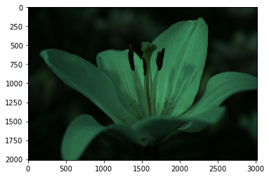 f:id:uzusayuu:20180923154414p:plain f:id:uzusayuu:20180923154414p:plain