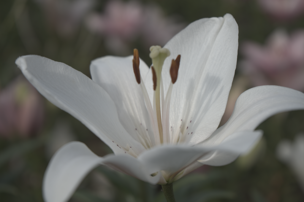 f:id:uzusayuu:20180930053908p:plain f:id:uzusayuu:20180930053908p:plain