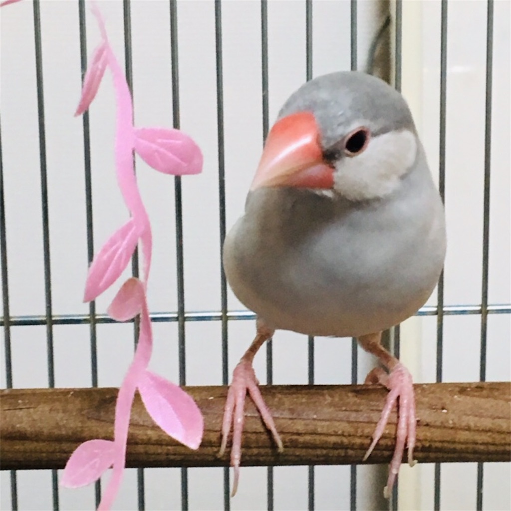 f:id:uzuzn:20211029213504j:plain