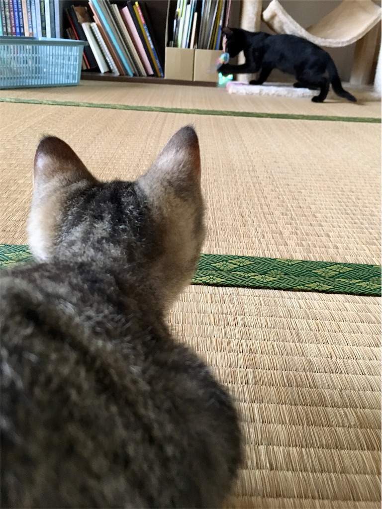 f:id:v24-b-watanabe:20180814120000j:image f:id:v24-b-watanabe:20180814120000j:image