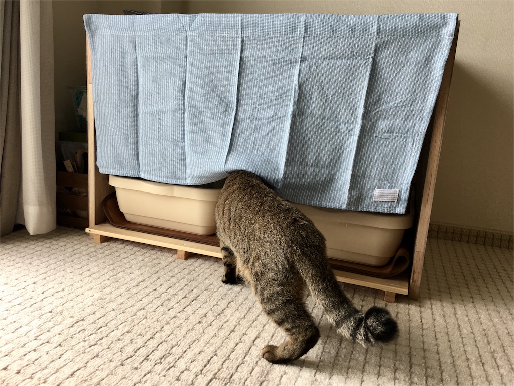 f:id:v24-b-watanabe:20180820215628j:image f:id:v24-b-watanabe:20180820215628j:image