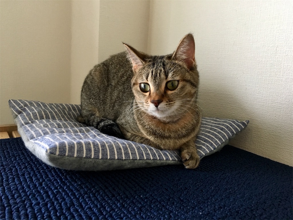 f:id:v24-b-watanabe:20180820215644j:image f:id:v24-b-watanabe:20180820215644j:image