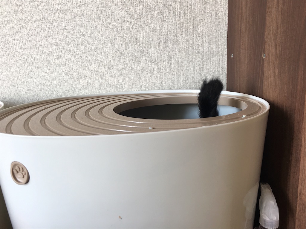f:id:v24-b-watanabe:20180831095234j:image f:id:v24-b-watanabe:20180831095234j:image