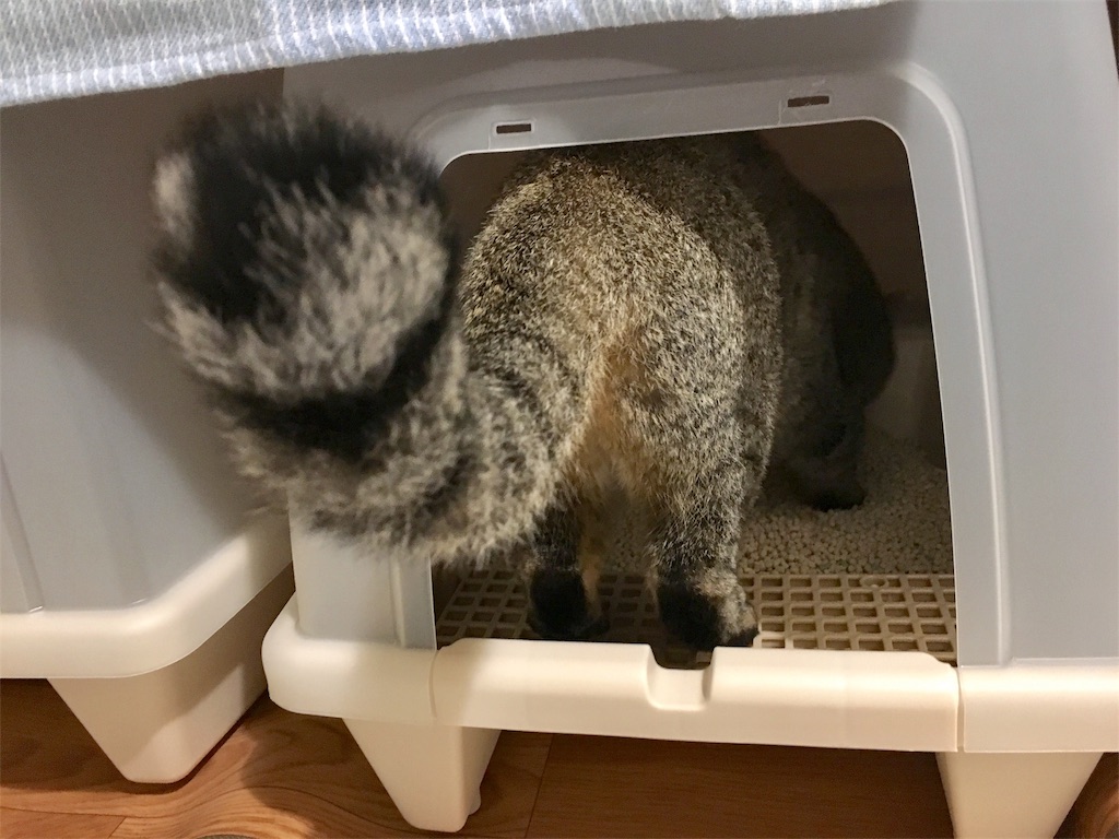 f:id:v24-b-watanabe:20180831104707j:image f:id:v24-b-watanabe:20180831104707j:image