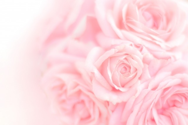 f:id:v3azbwm614:20180821084128j:plain
