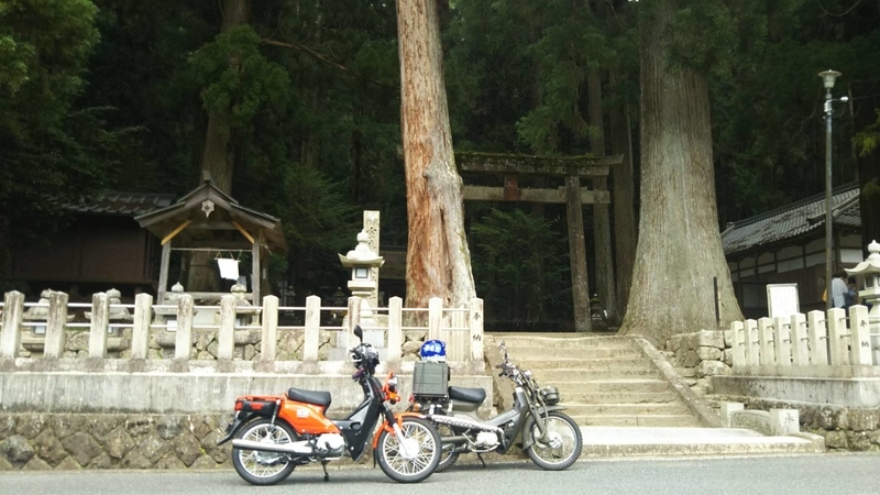 イメージ 3