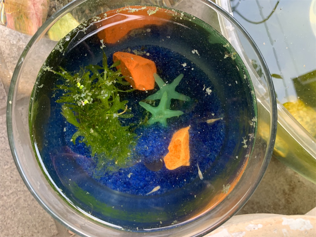 f:id:vHiro:20190330185907j:image f:id:vHiro:20190330185907j:image