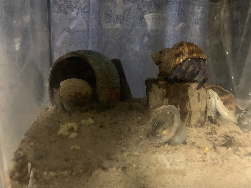 f:id:vHiro:20190401031118j:image f:id:vHiro:20190401031118j:image
