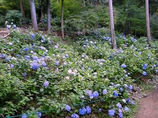 f:id:vTUNA:20180604213851j:plain f:id:vTUNA:20180604213851j:plain