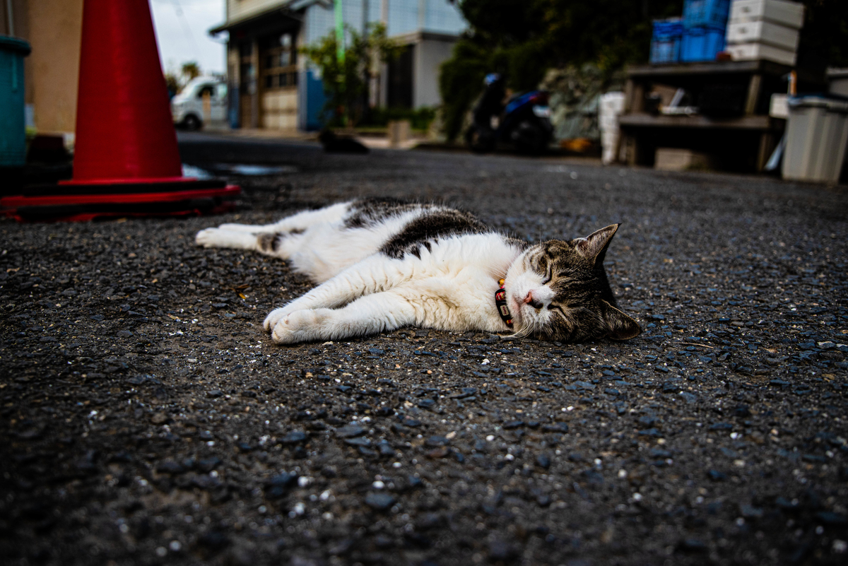 f:id:vUNCLEv:20190912223534j:plain f:id:vUNCLEv:20190912223534j:plain