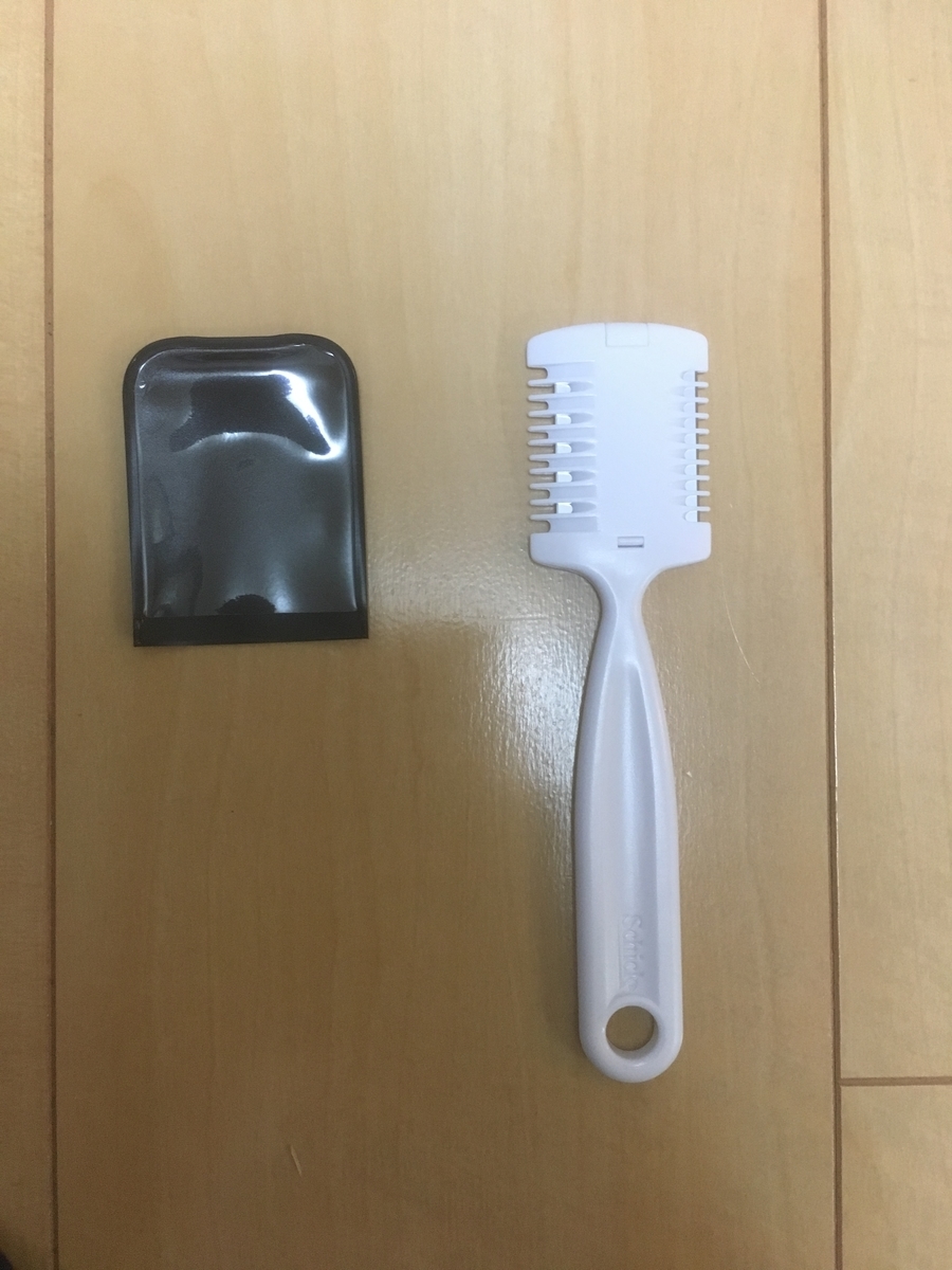 f:id:vagusnerve:20190609224415j:plain