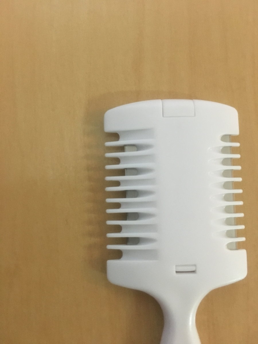 f:id:vagusnerve:20190609224502j:plain