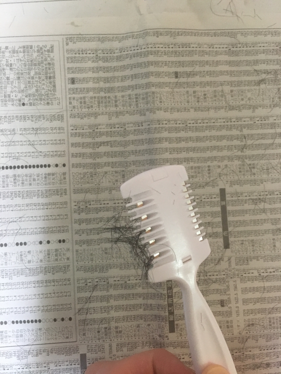 f:id:vagusnerve:20190609225051j:plain