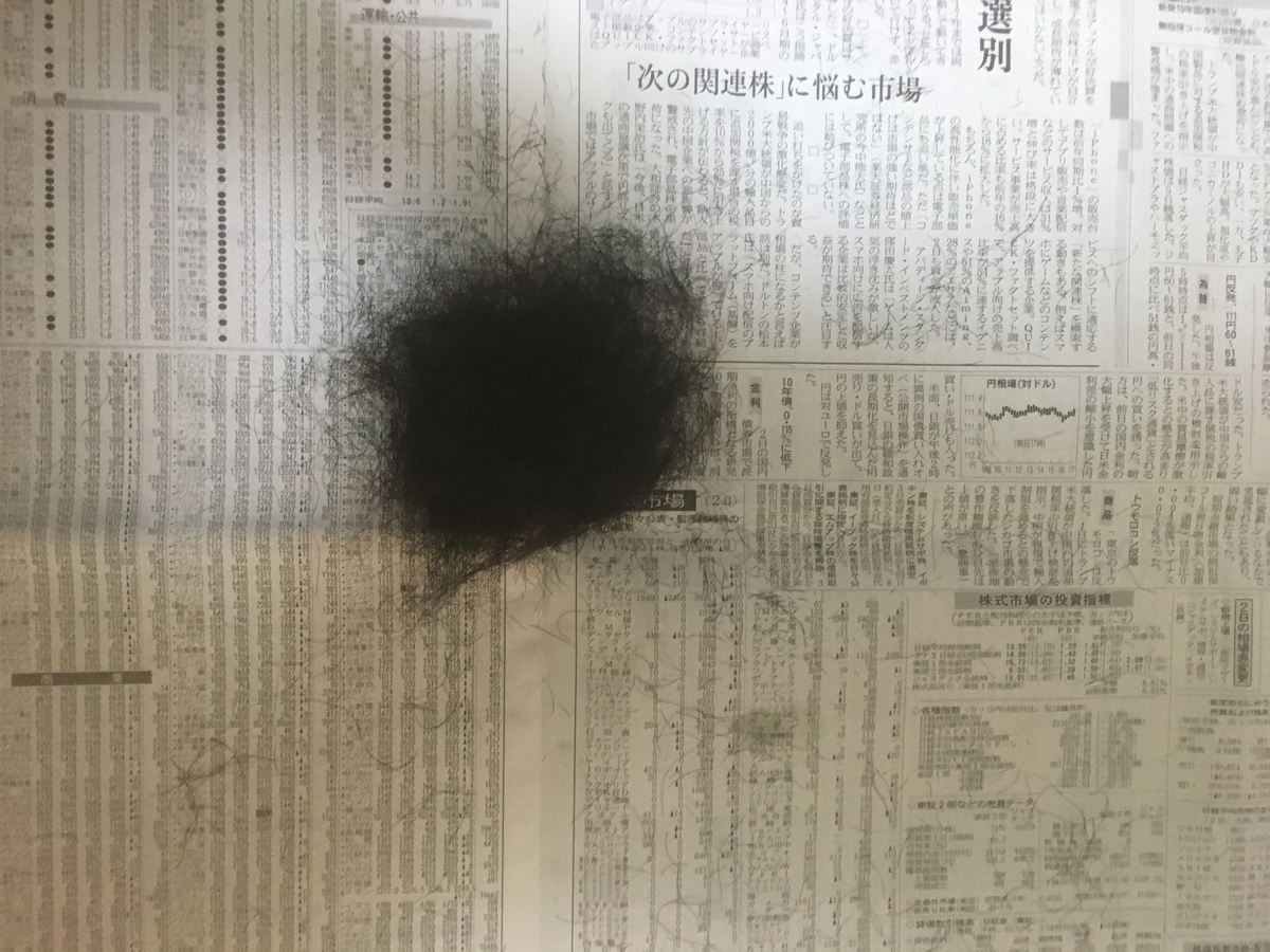 f:id:vagusnerve:20190609225610j:plain